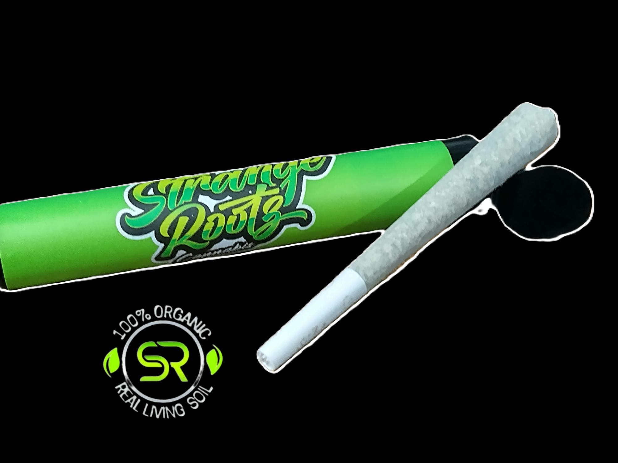 Product: Strange Rootz | Black Maple Pre-Roll | 1g
