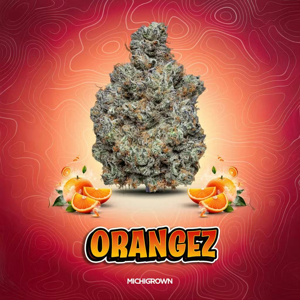 DELI - Michigrown - OrangeZ