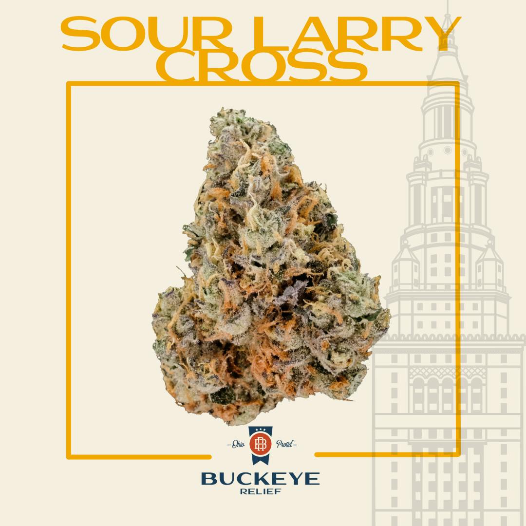 Buckeye Relief Sour Larry Cross Hybrid [2.83g] Terrasana Cannabis