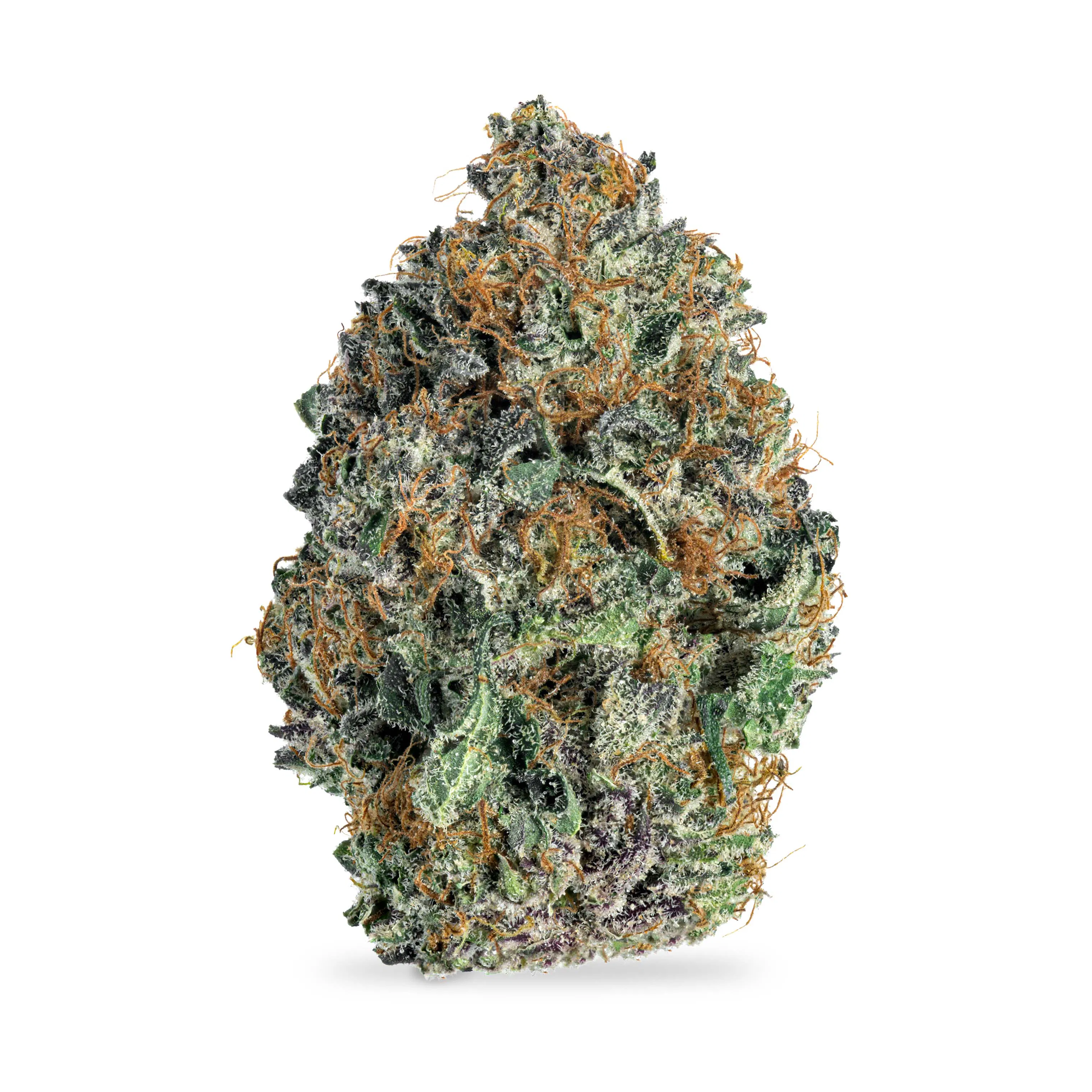 MMXX Live Rosin at Dark Matter - Sunland Park