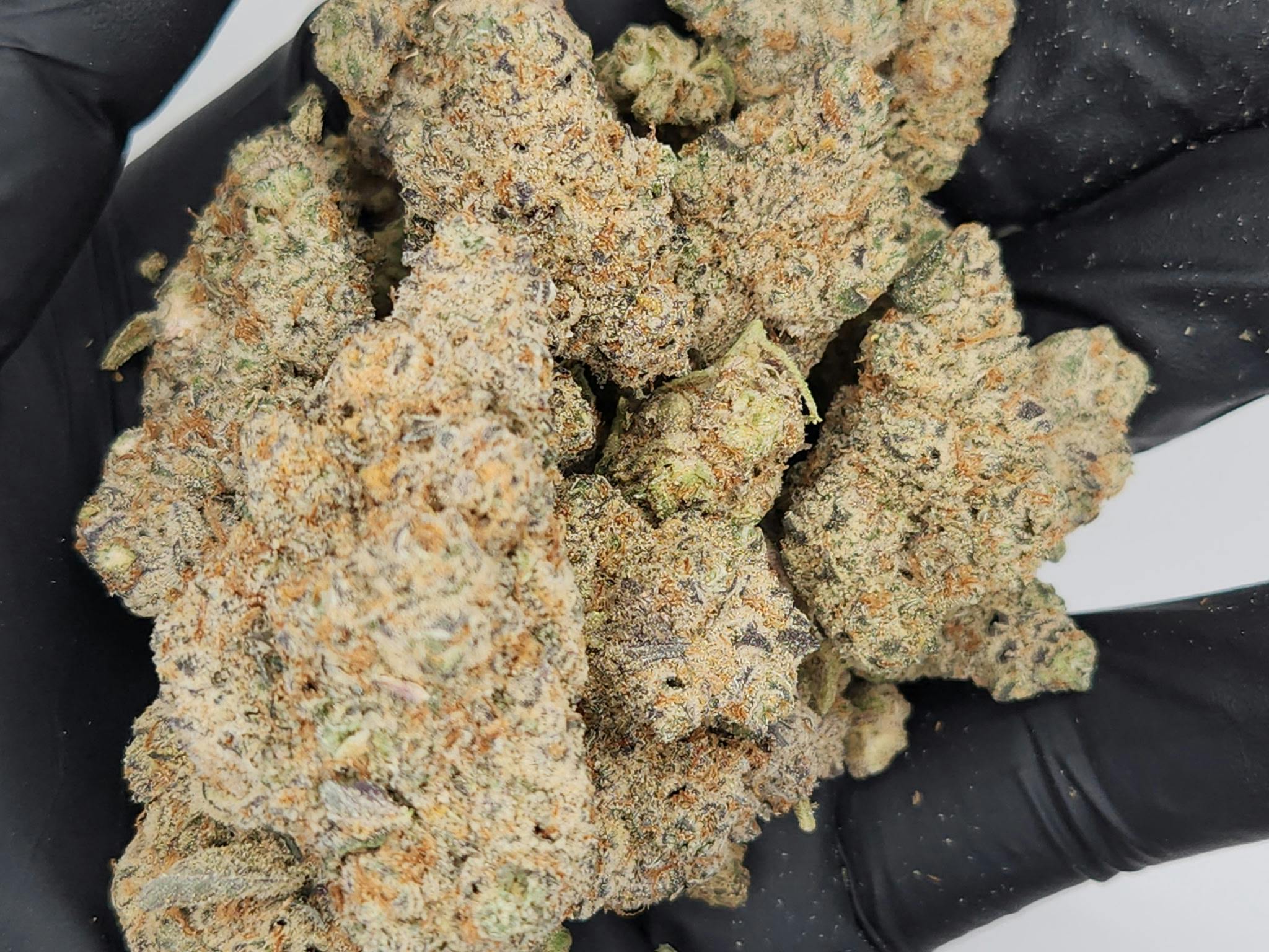 Bud & Mary's | Bulk Bud - Apple Fritter