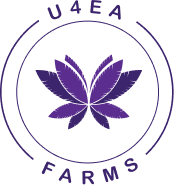 Image of U4EA Farms | Gas Face | 3.5g
