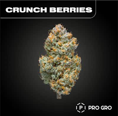 Product: Crunch Berries | Pro Gro