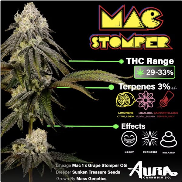 Mac Stomper (IH) | 3.5g | Flower | 36.15% | Trp: 2.53%