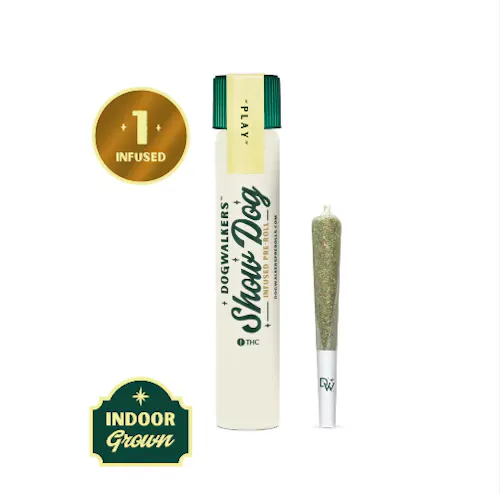 Dogwalkers Infused Night Owl Haze Show Dog-1