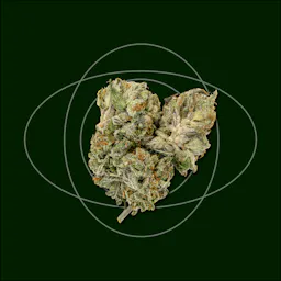 Flower category image