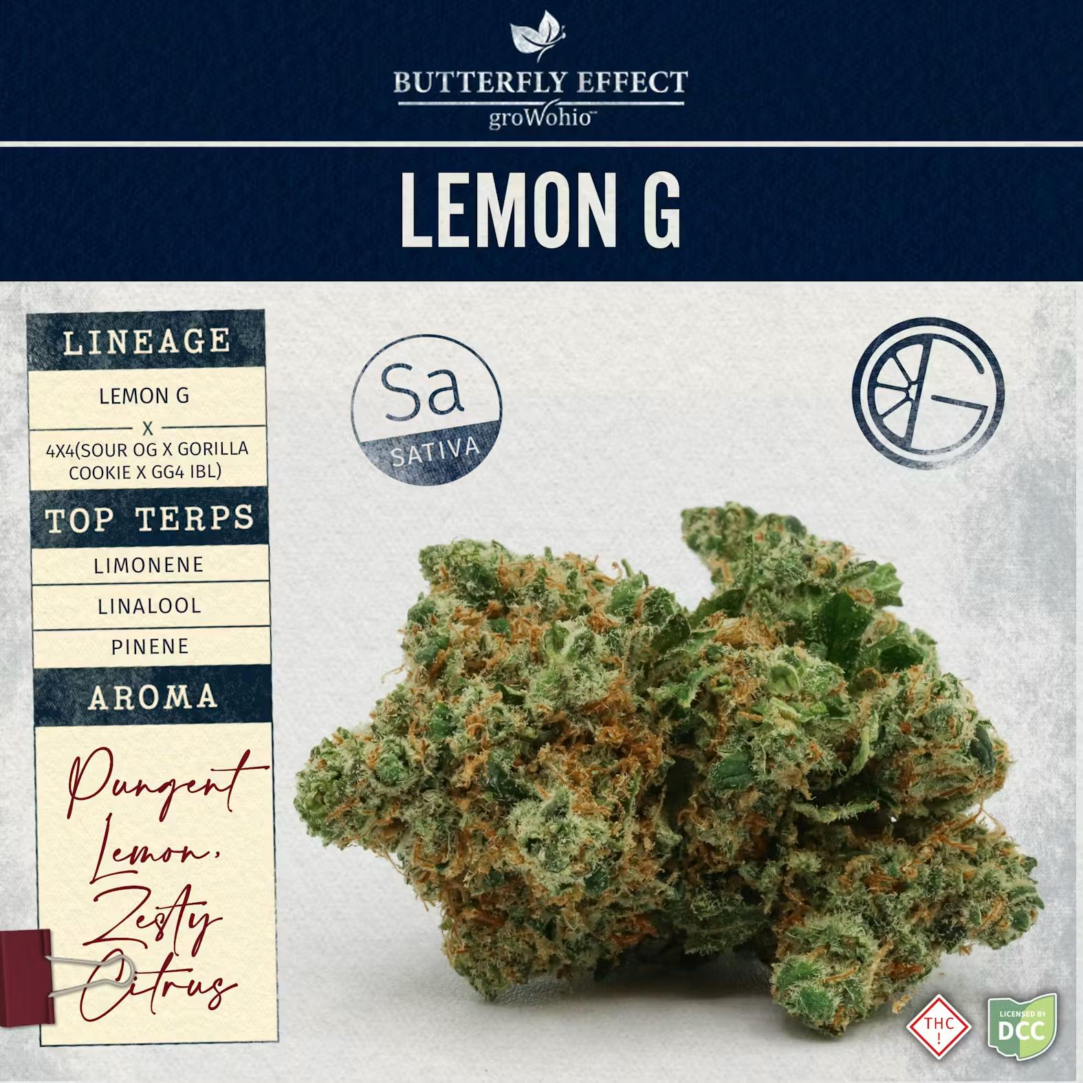 Lemon G - 28.3g