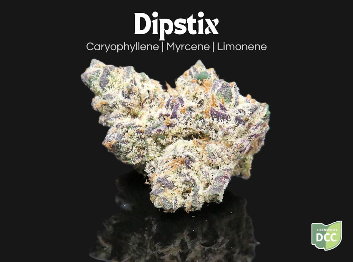 Photo of Dipstix