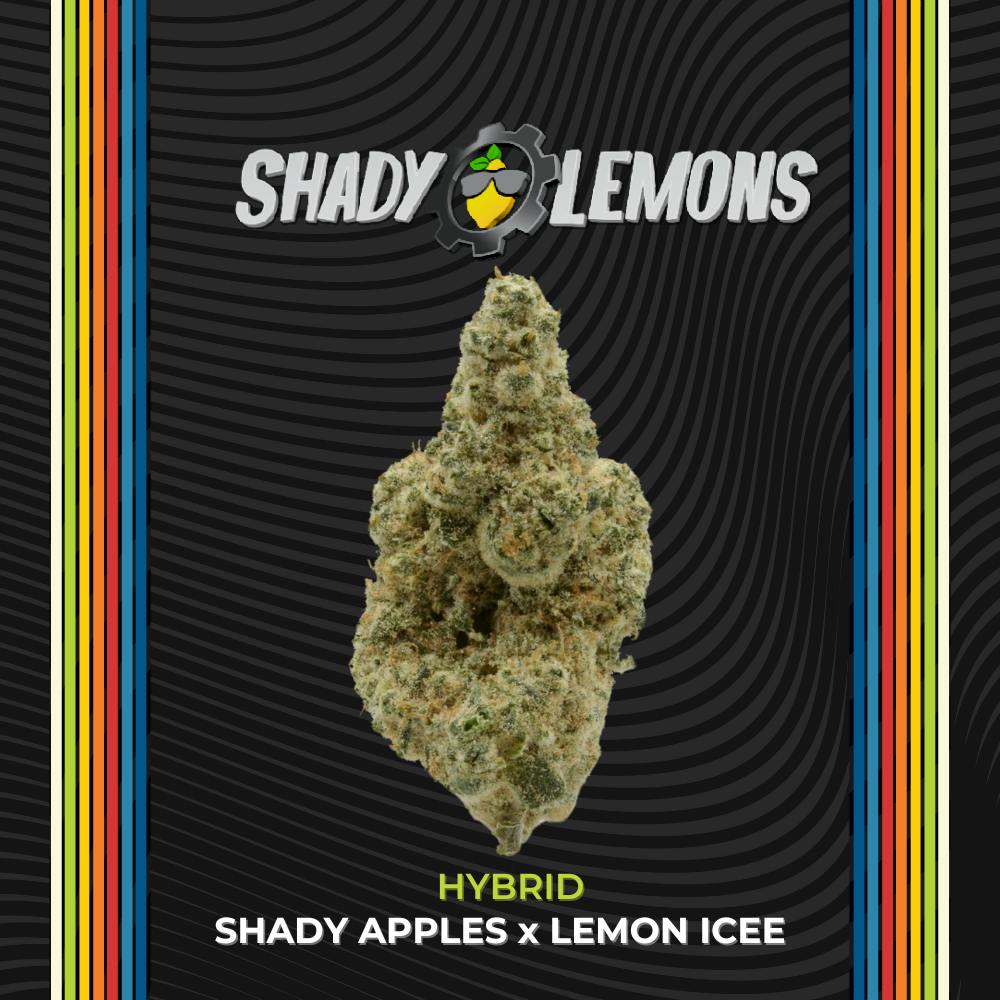 Shady Lemons – Select | 2.83g 2.83g Flower | CERTIFIED |