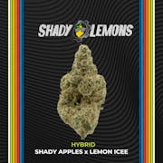 lemon Shady Lemons 14.15g Flower | CERTIFIED |