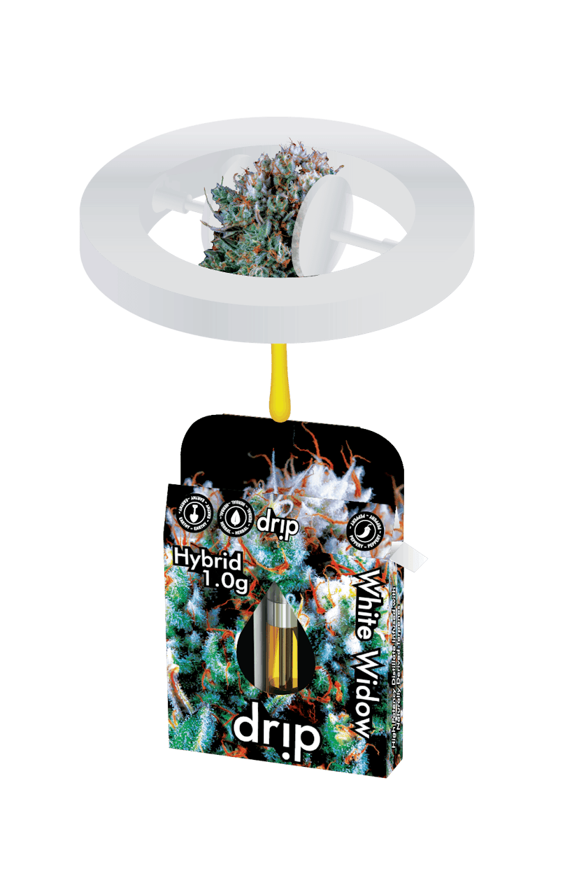 Drip - White Widow Cartridge