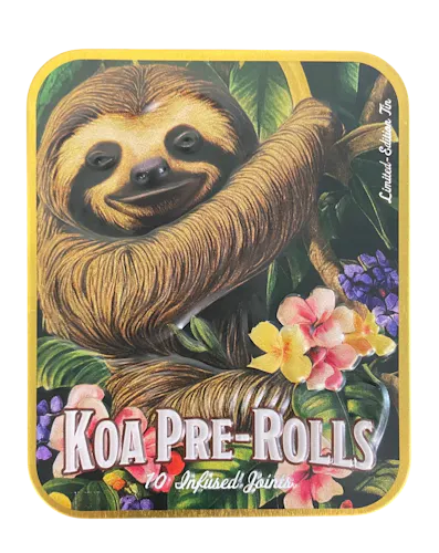 Live Resin Infused Jack Herer - PreRoll 10 Pack (3.5g) - Planet Nugg