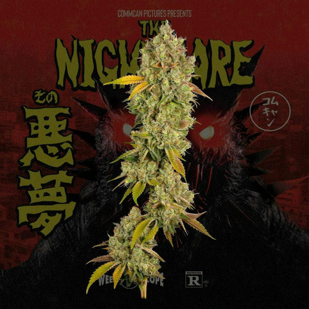 Product The Nightmare | Bulk Flower