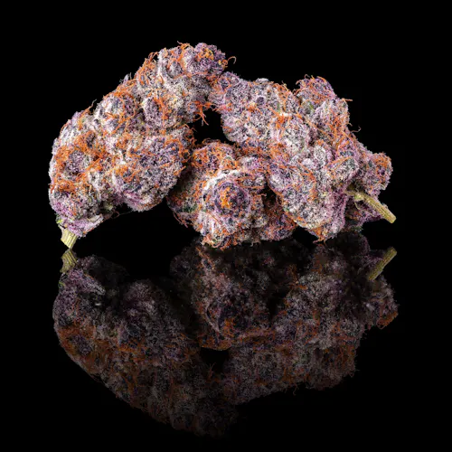 Lemon Cherry Tropicana [3.5g]-2