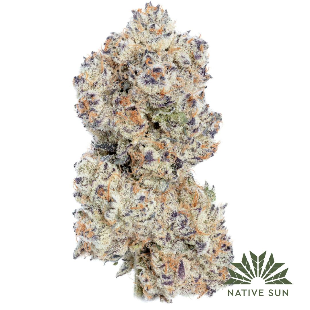 Native Sun 5g Garlic Icing Strain East boston, MA Happy Valley