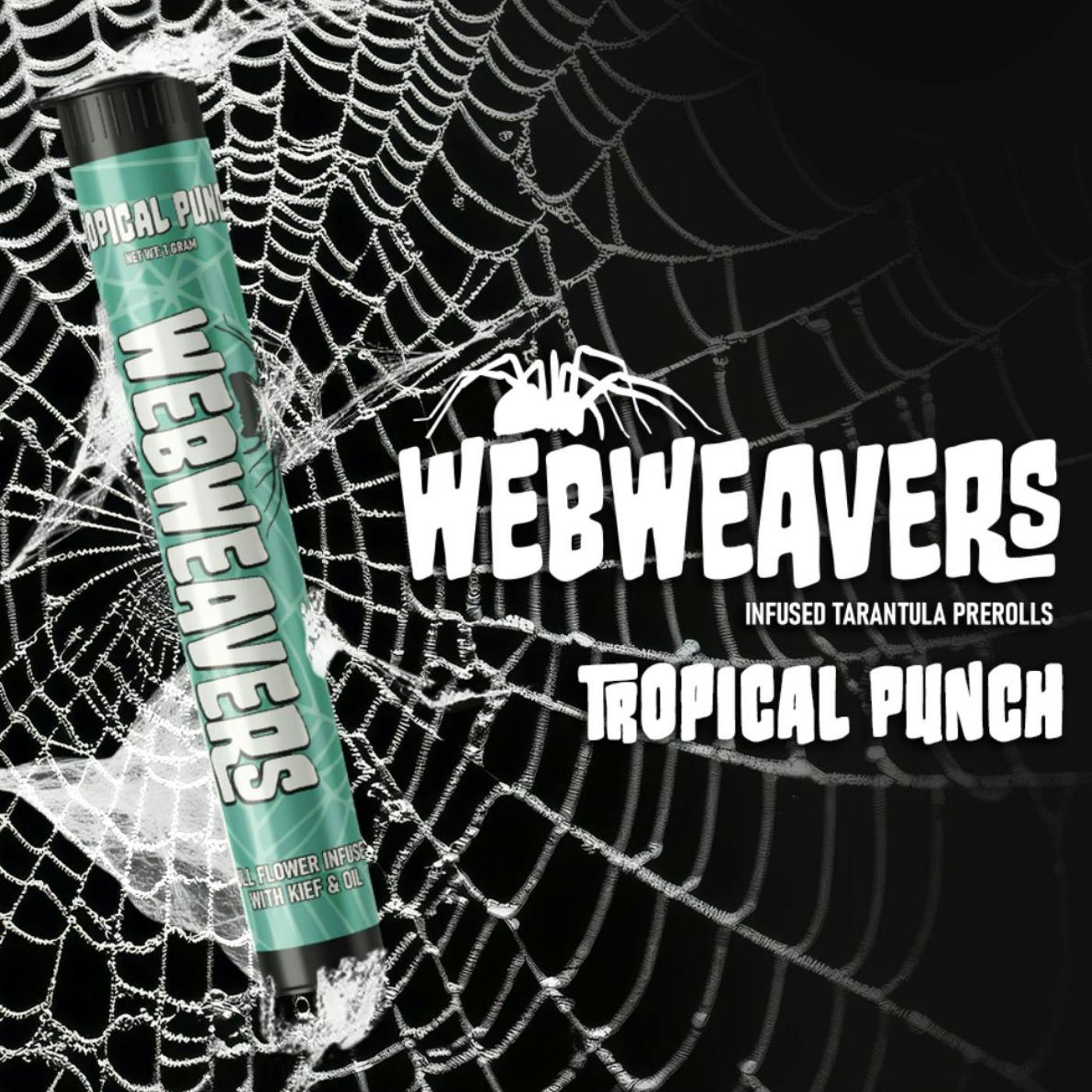 Webweavers - Tropical Punch Tarantula