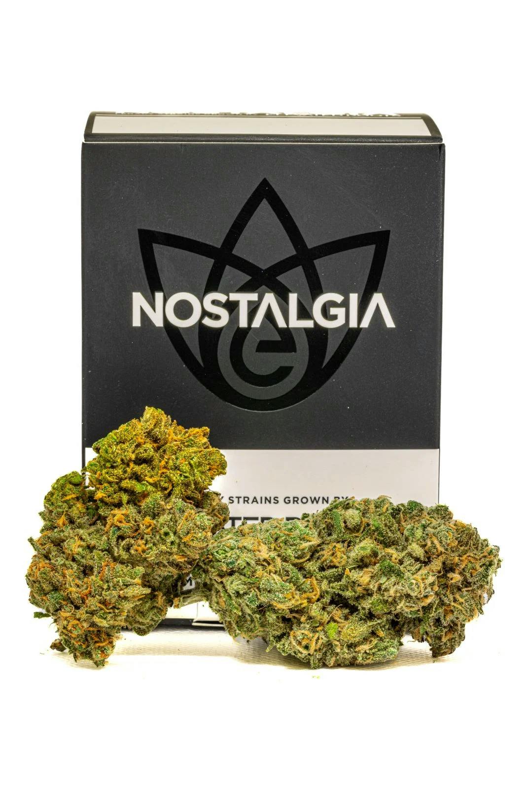 Blue Dream | Modern