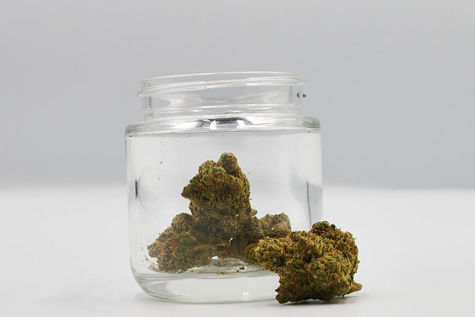 Pisos LV | Marijuana Dispensary | dutchie
