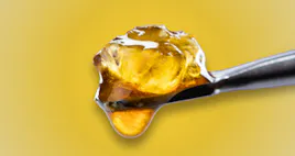 Concentrates category image