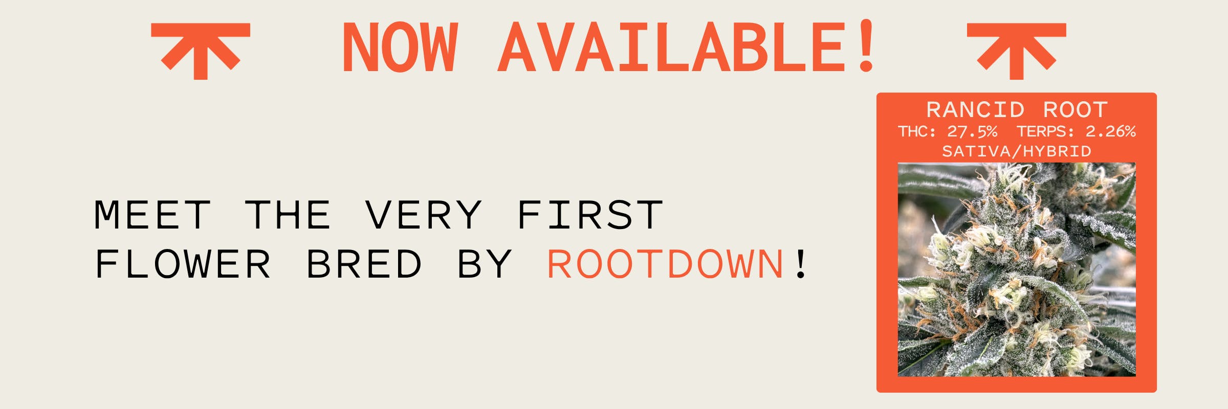 ROOTDOWN, drop, RANIC ROOT, flower, new, strains, available, all locations, storewide, sale, discount