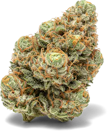 Flower category image