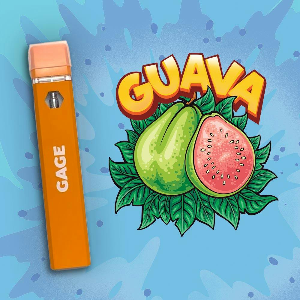 Guava - Olala