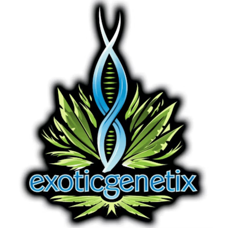 Exotic Genetix - Blueberry Gary - 1g Infused Preroll