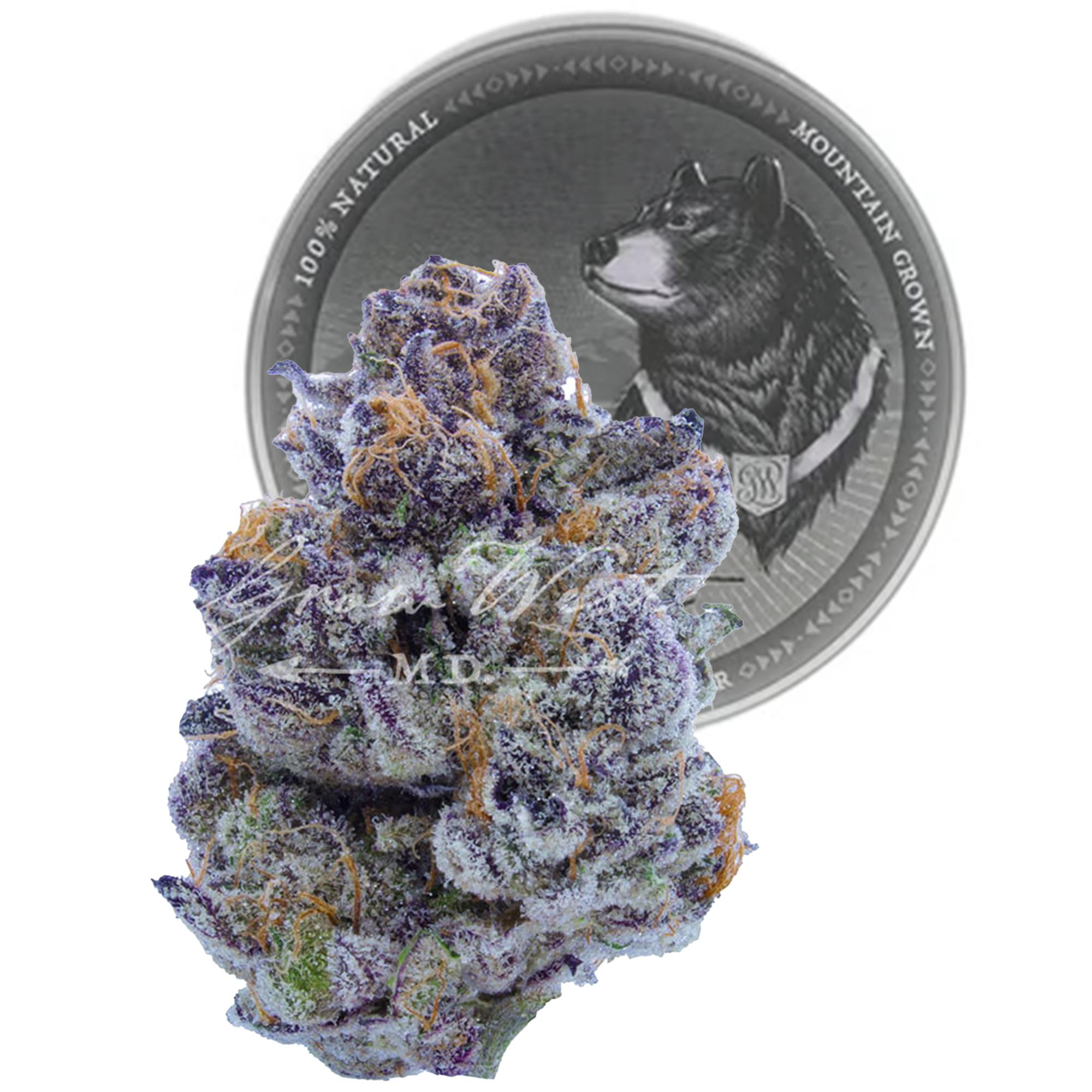 Shop Grow West Cannabis Company Jack Herer PREMIUM in Hagerstown