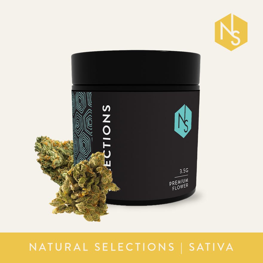 Natural Selections Tropicana C Flower