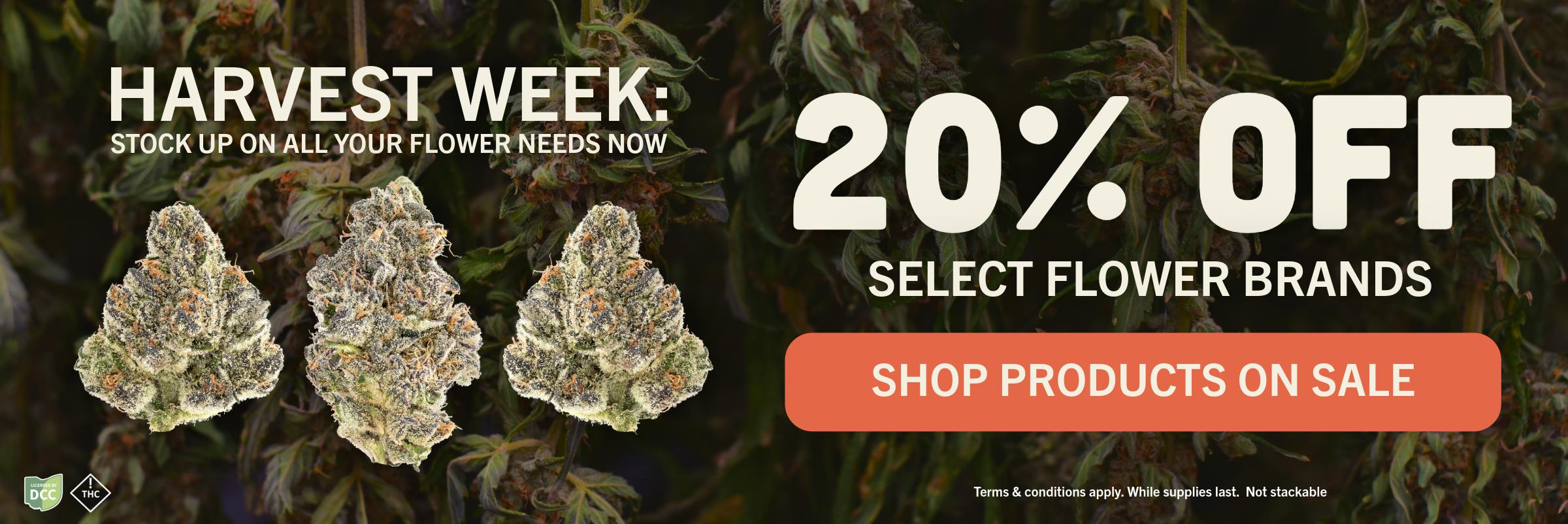 20% OFF FLOWER SALE
