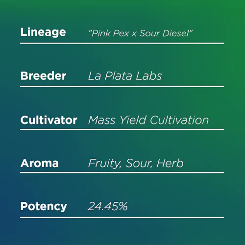 Deli Style | Sour Pez – Indica-1