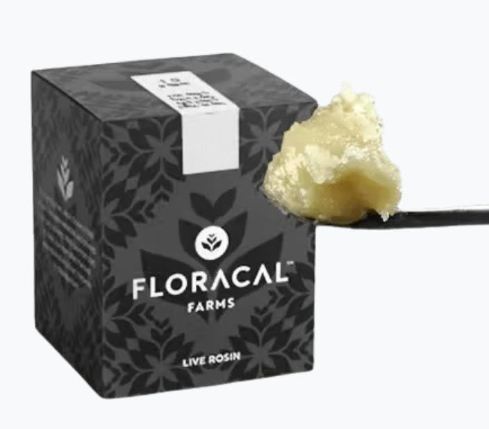 FloraCal | Papaya (I)