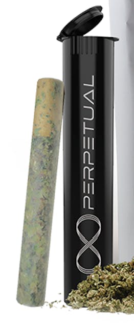 Cook'd #2 (H) - 0.5g Pre Roll - Perpetual - Image 2