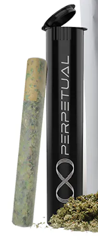 MOB 3 (IH) – 1g Pre Roll Cannon-1