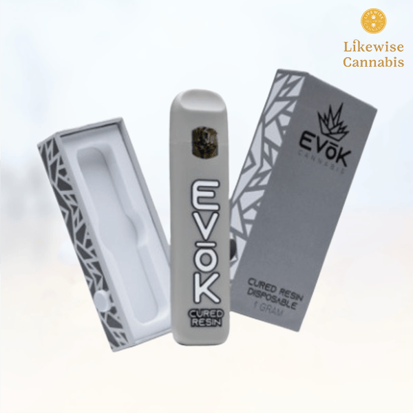 Evoke Disposable Vape Smok VVOW Disposable Vape Fifty Bar X Fruitia 20K Disposable  Vape