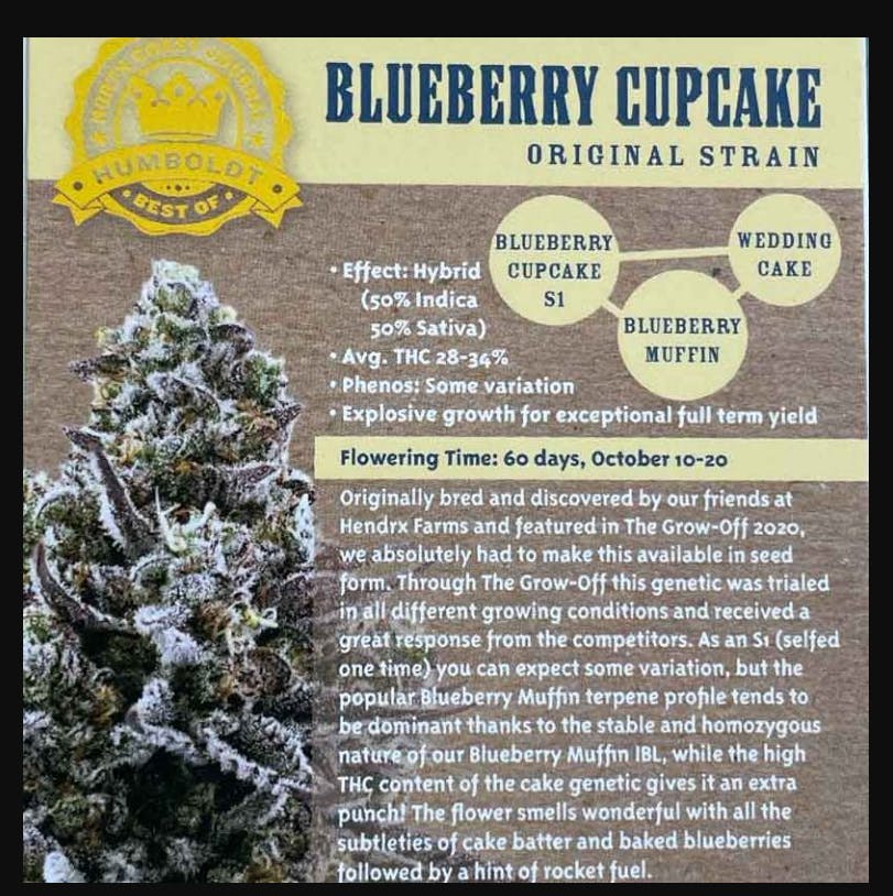 Product Blueberry Cupcake Buds