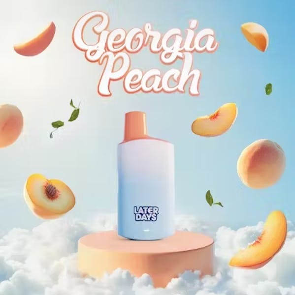 Georgia Peach | 2g | Disposable Vape | Later Days