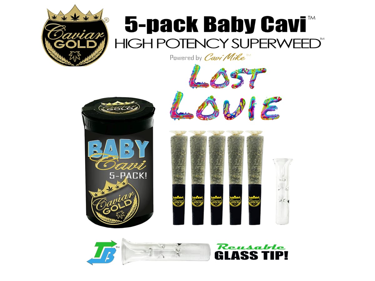 Product: CAVIAR GOLD | LOST LOUIE (BABY CAVI) | INFUSED PRE-ROLLS | 5 x 0.5G HYBRID