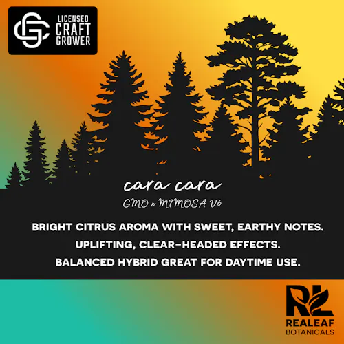 Cara Cara-1
