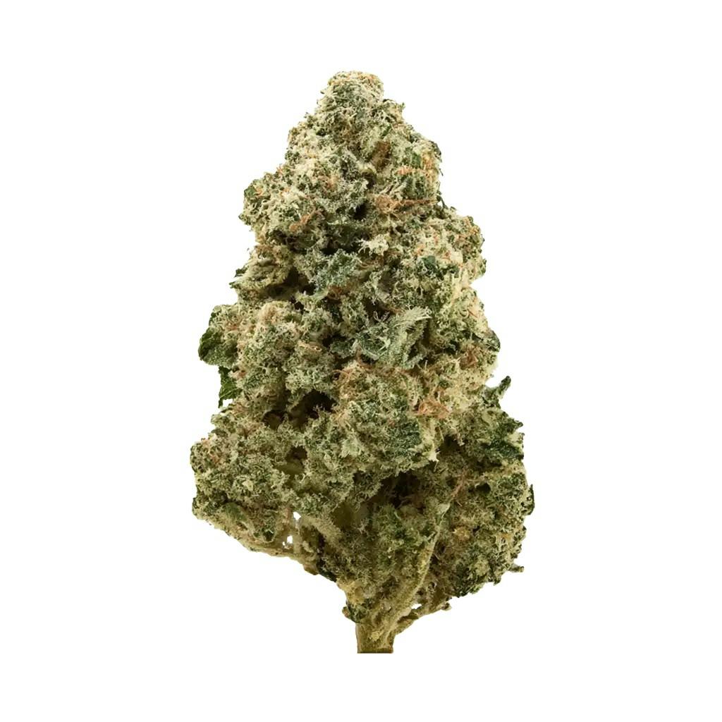 DISTRO 10 DISTRO 10 | GMO BOMB | BULK | INDICA — FLOWER