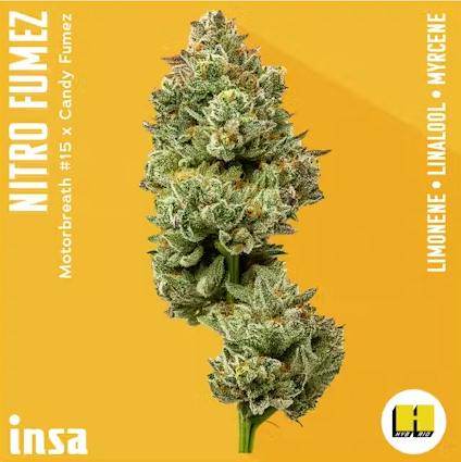 Product Nitro Fumez | Flower | 14g