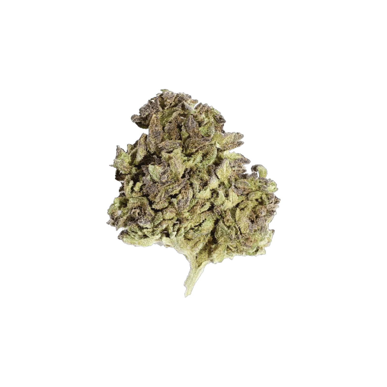Red fox boof zero hybrid deli style flower rec by red fox