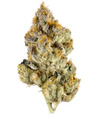 Product: Dark Queen | Pegasus