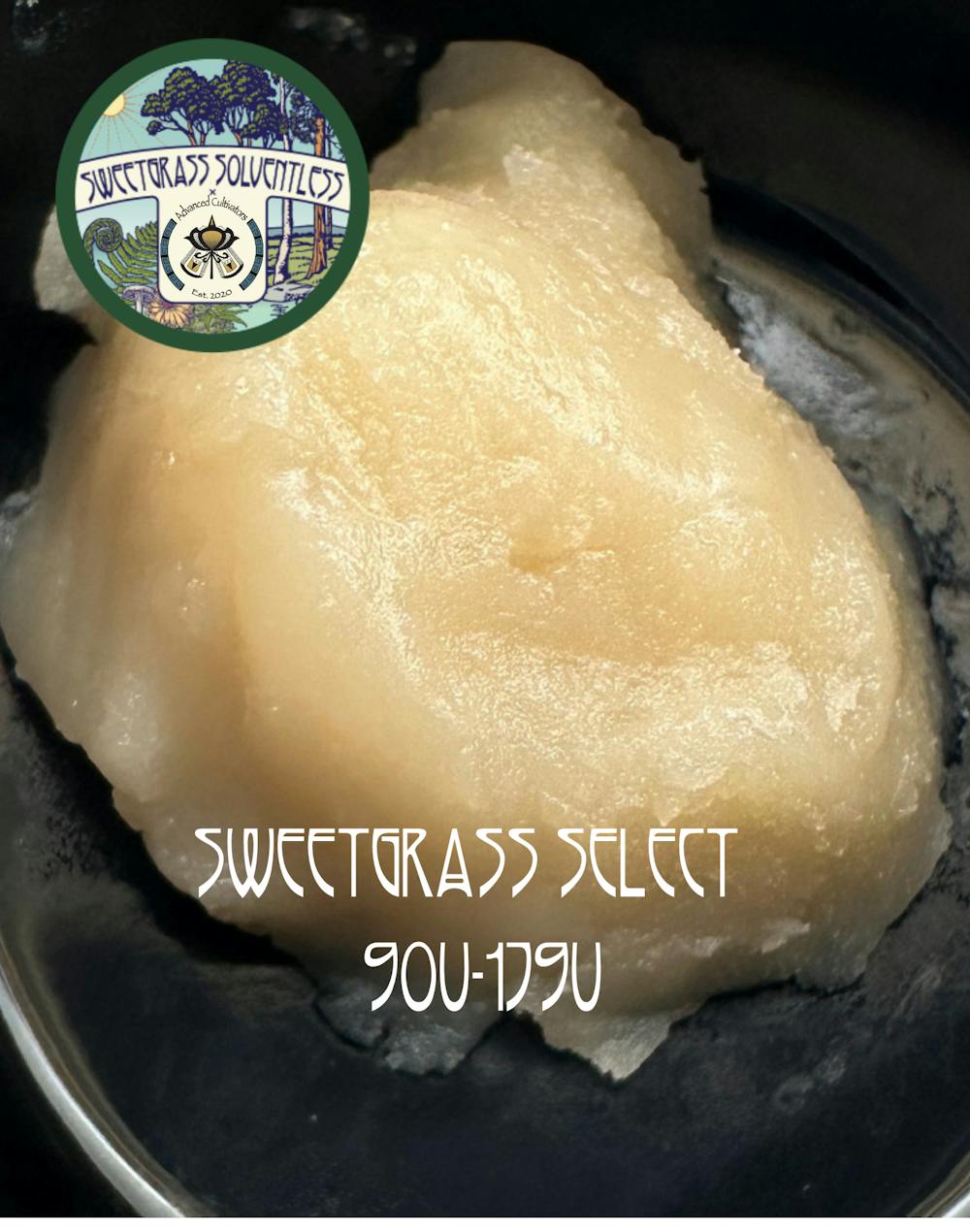 Product SGB x Advanced Cultivators | Honey Banana Zuava | Live Rosin