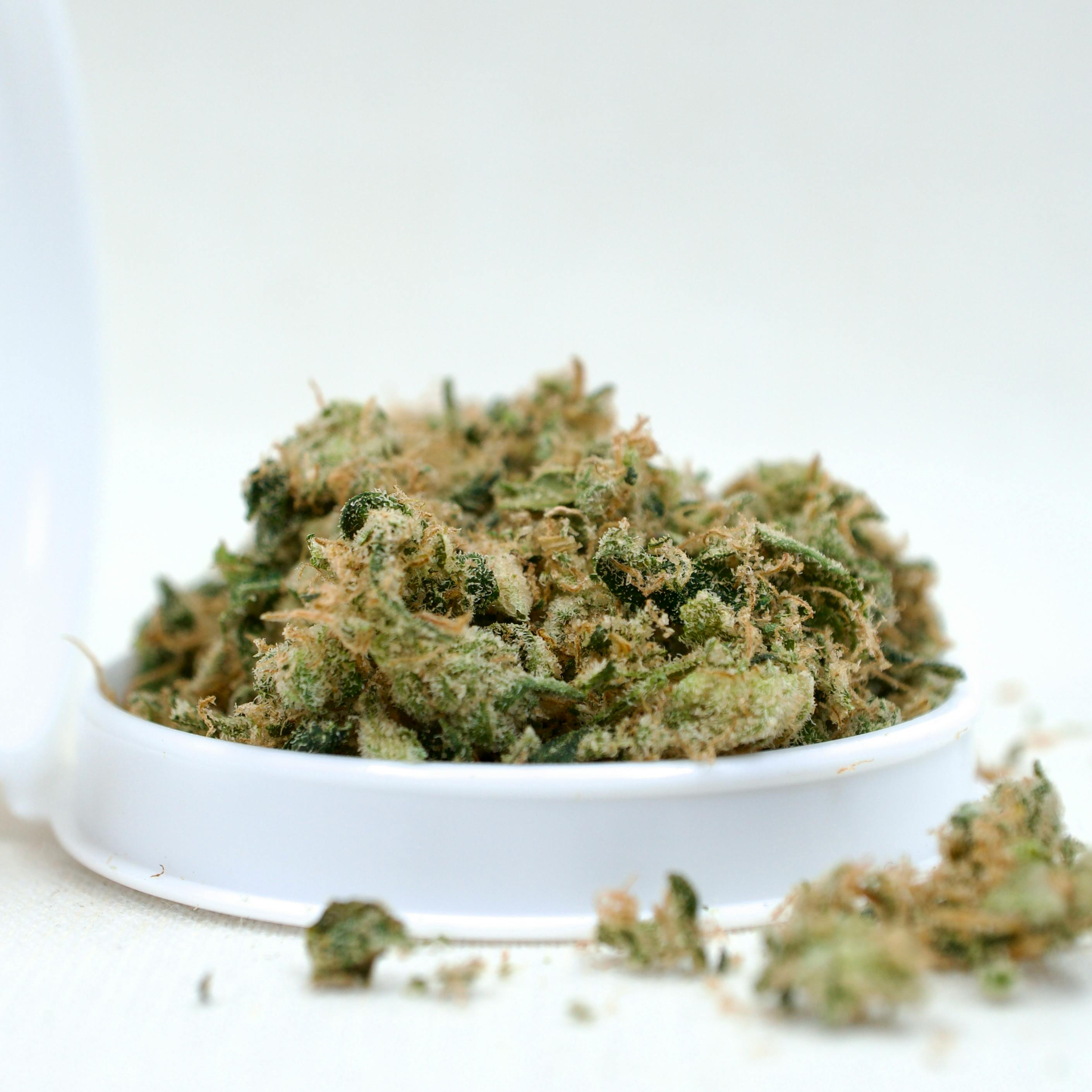 邦楽 seeda/roots & buds G13 Haze x Somango | 14g Shake | TAC: 19.4% | Alternative