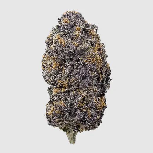 NOXX - 28th St. Menu | Grand Rapids, MI | Dutchie