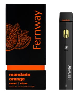 Disposable [1g] | Mandarin Orange