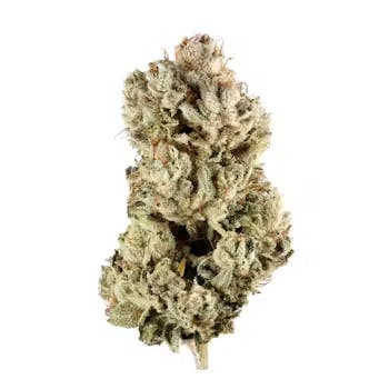 Product: GATSBY CANNABIS CO | GG#4 | PRE-PACK INDICA/HYBRID