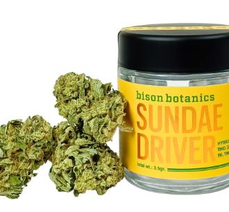 Sundae Driver Flower | Hybrid | Bison Botanics