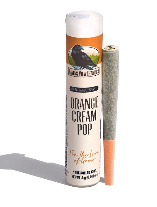 Orange Cream Pop | Single
